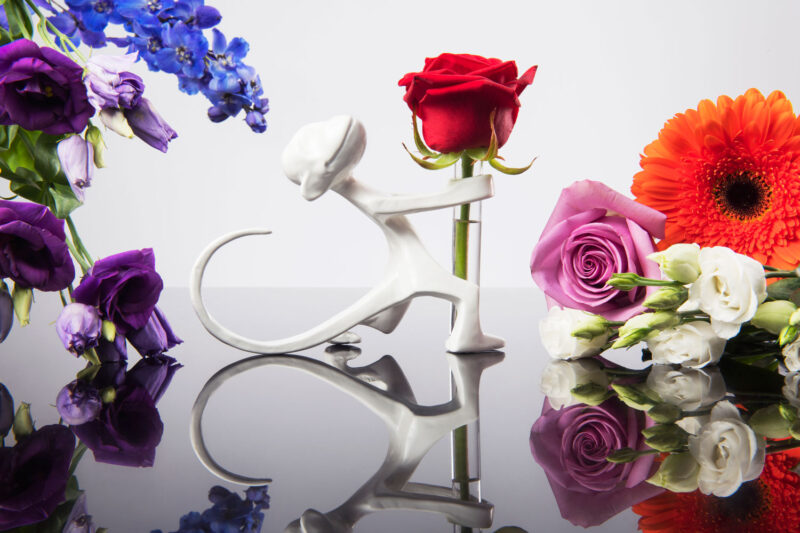 Artihove - Roy Ensink Photography